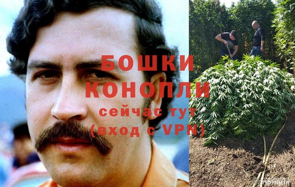 ALPHA PVP Горняк