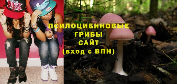 прущие крисы Володарск